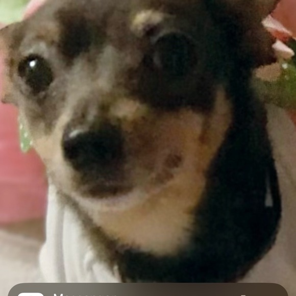 Meet your Posher, Jana - Picture 3 of 4